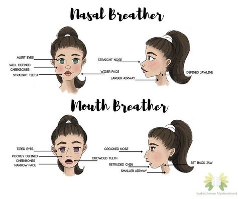 Did you know the way we breathe can impact our facial shape? Tongue Posture, Nasal Breathing, Mouth Breathing, Crooked Nose, Myofunctional Therapy, Mouth Breather, Straight Nose, Straight Teeth, Wide Face