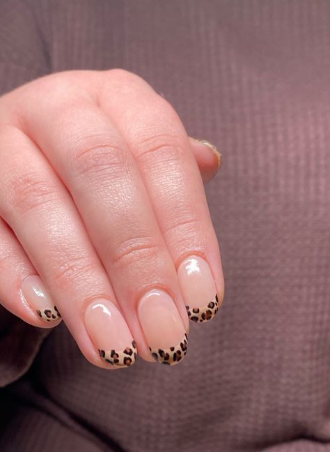 #nails #nailideas #shortnails #cheetahnails #frenchtip #funnails #gelnails Gel Leopard Nails Art Designs, How To Make Leopard Print Nails, Leopard Print Short Nails, Cheetah Short Nails, Leopard Short Nails, Short Nails Leopard, Short Leopard Print Nails, Cheetah Nails French Tip, Cheetah Nails Short