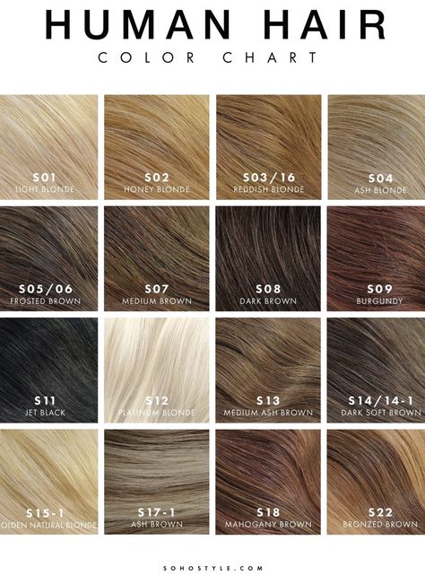 Brown Hair Chart, Professional Hair Color Chart, Blonde Hair Levels, Light Ash Blonde Hair Color, Dark Ash Blonde Hair Color, Blonde Color Chart, Loreal Hair Color Chart, Medium Blonde Hair Color, Blond Ash