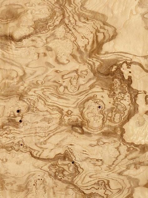 Olive Ash Burl Venner Texture, Veneer Texture, Light Stripes, Photoshop Rendering, Interior Wallpaper, Material Textures, Story Arc, 3d Texture, Marquetry