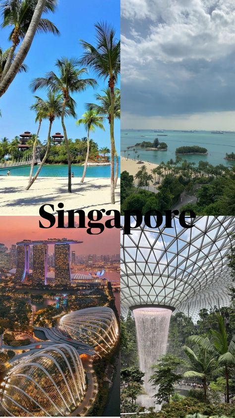 Singapore #singapore # aesthetic #nature Singapore Aesthetic, Cheap Airline Tickets, Quote Travel, Book Cheap Flights, Dream Vacations Destinations, Airline Tickets, Cheap Flights, Singapore, Travel