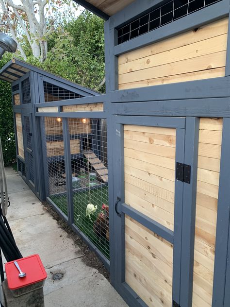 Black Chicken Coop Ideas, Coop Colors, Modern Chicken Coop, Cute Chicken Coops, Chicken Coup, Backyard Chicken Coop Plans, Diy Chicken Coop Plans, Chicken Bird, Backyard Chicken Farming