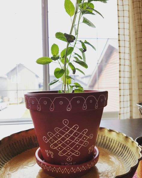 Tulasi madam @ home #kolam #indianhomedecor #myhomemyhappiness Tulasi Plant In Balcony, Tulasi Madam Ideas, Tulasi Kota Designs In Balcony, Tulsi Pot Design In Balcony, Tulasi Kota Designs Painting, Tulsi Plant Decor, Tulasi Pot Design, Tulasi Kota Designs, Tulasi Plant