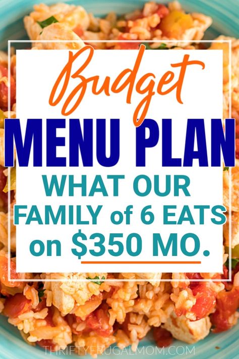 Looking for easy, budget friendly meal ideas? Here's the frugal two week menu plan that our family of six has enjoyed recently! Lots of great menu inspiration! #thriftyfrugalmom #menuplans #mealplan #frugalliving #grocerybudget Meals That Will Last A Week, Dinner Ideas Large Family, Cheap Meal Plans Families, Frugal Meals For Large Families, Cheap Large Family Meals, Weekly Meal Plan Family, Cheap Meals For Large Families, Budget Dinner, Cheap Meal Plans