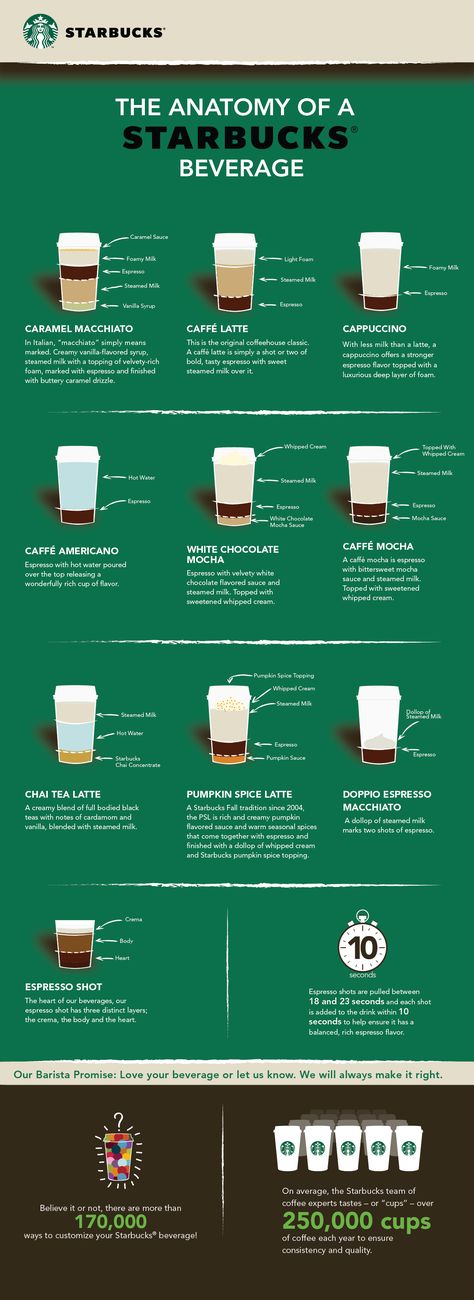 Infographic: The Anatomy of a Starbucks Beverage Starbucks Training, Kawa Starbucks, Shakes Recipes, Resep Starbuck, Types Of Drinks, Café Starbucks, Nespresso Recipes, Ninja Coffee Bar, Ninja Coffee