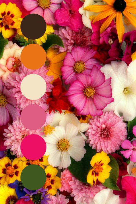 Tropical Flower Color Palette, Valentines Day Color Palette 2024, Event Color Palette, Pink Green Orange Color Palette, Pink Orange Green Color Scheme, Orange Pink Color Palette, Orange And Pink Color Palette, Pink And Orange Color Palette, Floral Color Palette