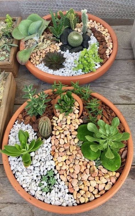 45 Amazing ideas for home mini succulent flower beds | My desired home Cactus Garden Design, Mini Cactus Garden, Tanaman Sukulen, Kaktus Dan Sukulen, Succulent Garden Indoor, Succulent Garden Design, Succulent Garden Diy, Mini Cactus, Dish Garden