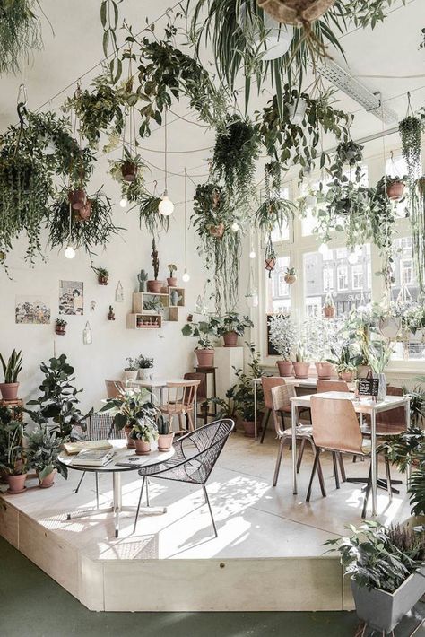 Deco Jungle, Trendy Plants, Decor Studio, Hanging Plants Indoor, Best Indoor Plants, Garden Cafe, Indoor Gardens, Plant Decor Indoor, Beautiful Interior Design