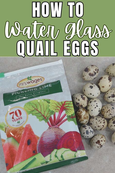 Water Glass Quail Eggs, Canning Quail Eggs, Quail Egg Crafts, Quail Waterer, Quail Care, Keeping Quail, Diy Coop, Preserve Eggs, Pickled Quail Eggs