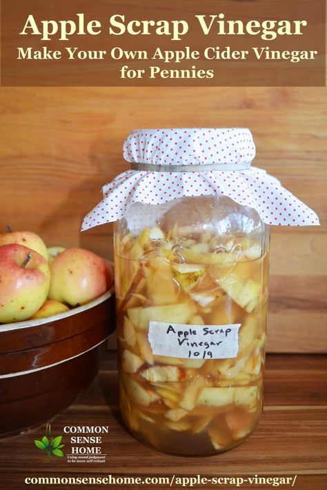 Don't throw away those peels and cores! Make your own homemade apple cider vinegar for just pennies per gallon with this easy apple scrap vinegar. Homemade Apple Cider Vinegar, Raw Apple Cider Vinegar, Homemade Apple Cider, Cold Sores Remedies, Natural Cold Remedies, Cold Home Remedies, Natural Cough Remedies, Easiest Apples, Homemade Apple