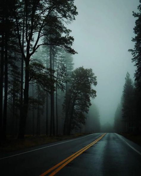 Virginia Photography, Dark & Stormy, Dark Forest Aesthetic, Rainy Day Aesthetic, Twilight Photos, Nostalgia Aesthetic, Beautiful Wallpapers For Iphone, Forest Road, Dark Paradise