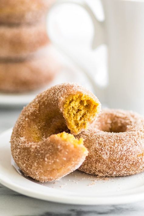 Soft and fluffy baked pumpkin donuts tossed in crunchy cinnamon sugar are the perfect fall breakfast or snack! Doughnut Baked, Donut Pan Recipe, Baking Mischief, Bread Items, Pumpkin Food, Batch Baking, Breakfast Donuts, Donut Pan, Baked Donut Recipes