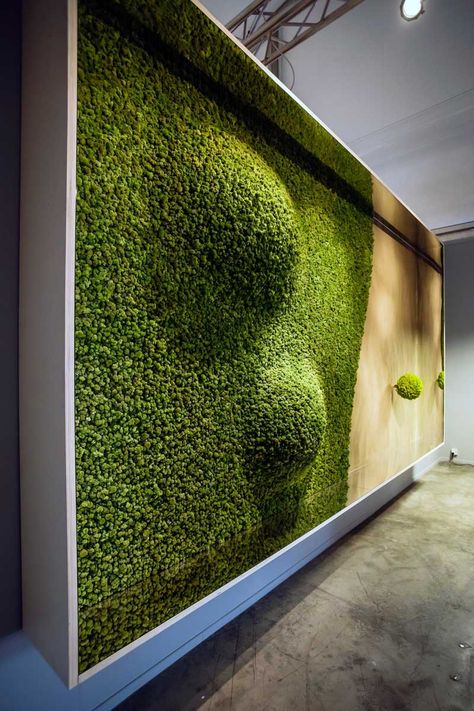 Green Dunes by Aldo Cibic for Blumohito Mos Wand, Ideas Terraza, Green Wall Design, Moss Walls, Green Facade, Vertical Garden Wall, Living Walls, Moss Wall Art, Vertical Gardening