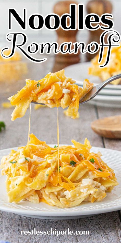 Vintage comfort food! This easy Noodles Romanoff recipe is a cheesy, gooey side dish the whole family will love. Side Dishes With Egg Noodles, Amish Egg Noodle Recipes, Home Made Noodles Recipe, Noodles Romanoff Recipe, Homemade Noodle Recipes, Baked Noodle Casserole, Egg Noodle Side Dish, Potato Gratin Easy, Noodle Pudding