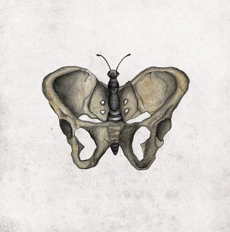 pelvis + butterfly | Eller's Artists Advanced Higher Art, Alexandria City, Optical Illusion Tattoo, Natural Form Art, Lady Bug Tattoo, Cool Tattoo Drawings, Gcse Art Sketchbook, Alexandria Virginia, Bone Art