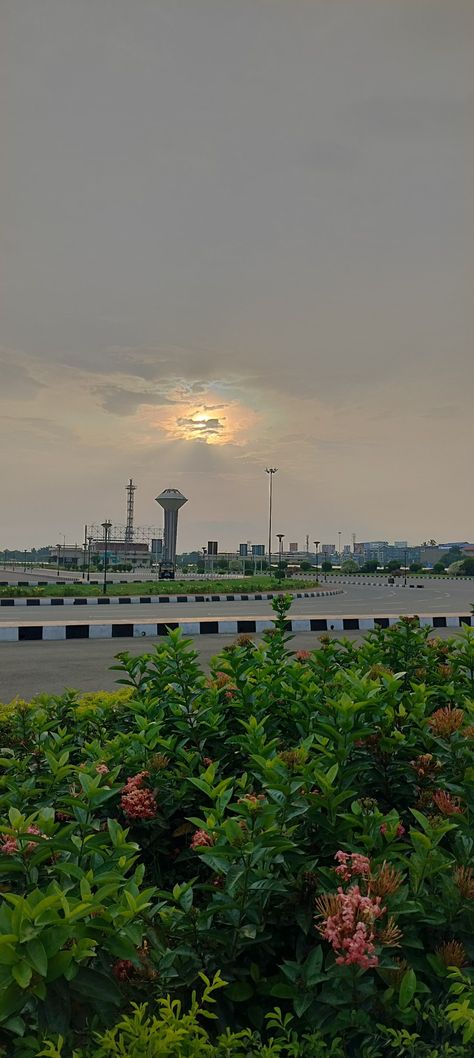 Sky🌿 Cochin International Airport, Flowers Photography Wallpaper, Photography Wallpaper, Aesthetic Pics, Kochi, International Airport, Flowers Photography, Aesthetic Pictures, Vision Board