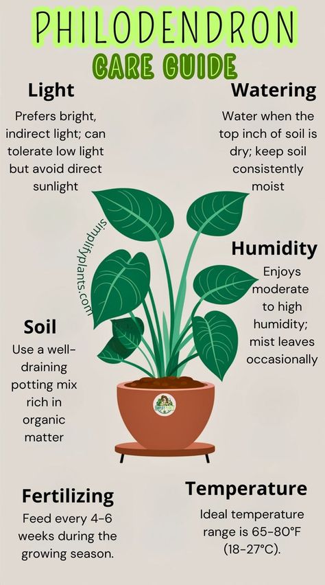 "Philodendron plant care, indoor plant care, houseplant care, tropical plant 
care, plant care tips, caring for philodendron, plant care routine, 
philodendron care instructions, plant care guide, caring for indoor plants" Philodendron Plant Care, Indoor Plant Care Guide, Philodendron Care, Plant Care Guide, Philodendron Plant, Plant Care Houseplant, Gothic Garden, Indoor Plant Care, Plant Decor Indoor