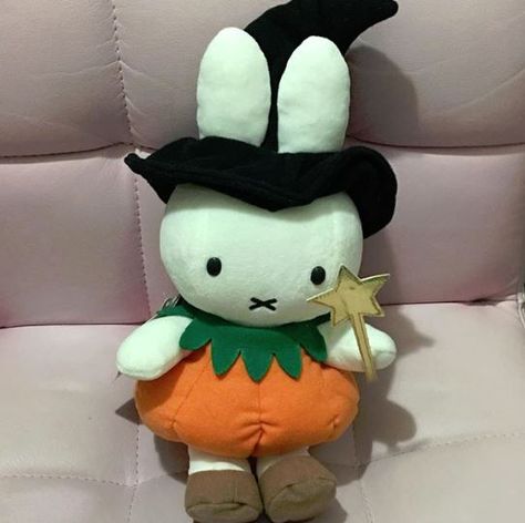 #miffy #childrenscharacter #dressup #pumpkin #halloween #halloweeninspiration Miffy Bunny Aesthetic, Miffy Pumpkin, Miffy Halloween, Pumpkin Bunny, Halloween Plushies, Miffy Plush, Sanrio Halloween, Halloween Pfp, Photo Wall Collage