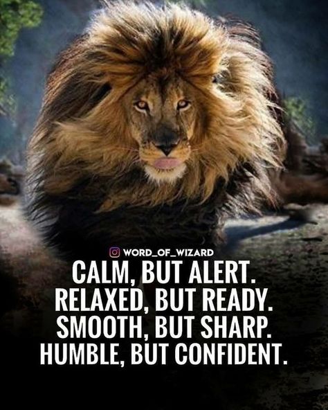 Knowledge Is Power Quotes, Lioness Quotes, Leo Zodiac Quotes, Quotes On Success, Action Quotes, Leo Zodiac Facts, Lion Quotes, Lion Images, Inspirational Quotes About Success