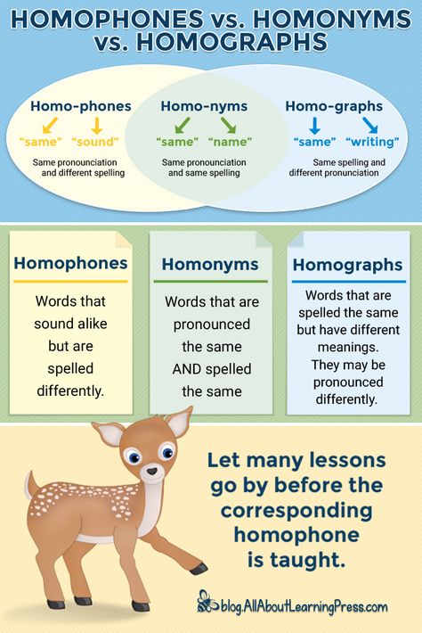 Homonym Homophone Homograph, Homonyms Homophones Homographs, Homonyms Anchor Chart, Homographs Worksheet, Homographs Activities, Homographs Anchor Chart, Homophones And Homonyms, Homonyms Activities, Homophones Activity