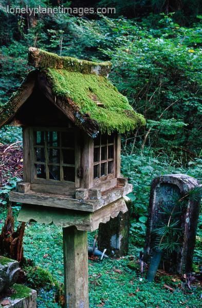 How to Build a Bird House Birdhouses Rustic, Garden Birdhouses, Bird House Kits, Deco Nature, Bird Garden, Fairy Houses, Fairy House, Zen Garden, The Roof