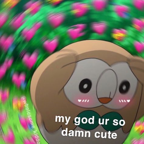 Youre So Cute Reaction Pic, Cute Picture To Send Your Girlfriend, Cute Messages For Partner, Youre Cute Reaction Pics, Wholesome Things To Send To Your Partner, Images To Send To Boyfriend, Pictures To Send To Your Girlfriend, This Could Be Us Wholesome, Wholesome Pictures For Him