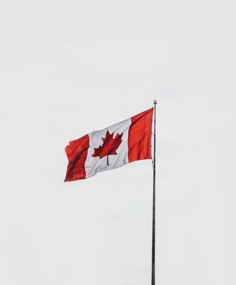 red and white flag on pole photo – Free Toronto Image on Unsplash Canada Aesthetic, Flag Aesthetic, Toronto Images, Family Quiz, Red And White Flag, White Flag, Canadian Flag, Canada Flag, Hd Photos