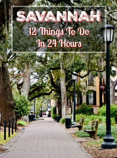 Savannah Itinerary, Savannah Georgia Vacation, Savannah Georgia Travel, Georgia Vacation, Visit Savannah, Georgia Travel, Usa Travel Guide, Us Travel Destinations, Tybee Island