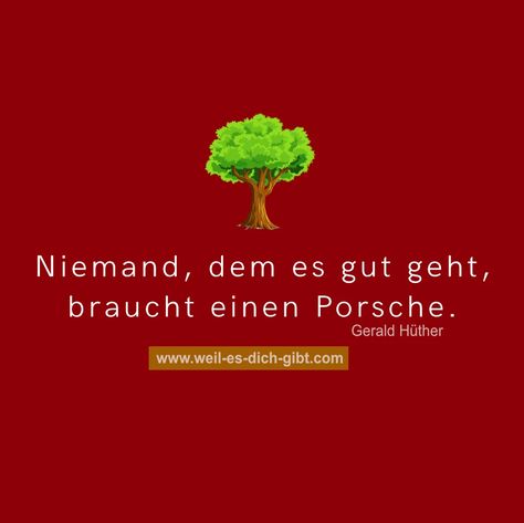 Niemand, dem es gut geht, braucht einen Porsche. Gerald Hüther Hermann Hesse, Porsche, Quotes, Movie Posters, Quick Saves, Film Posters