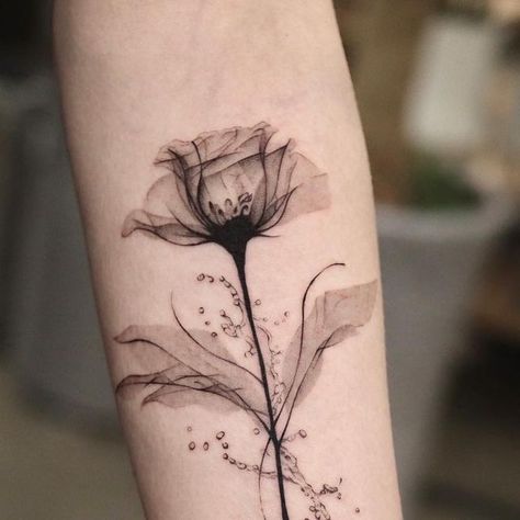 Rising Phoenix Tattoo, Digital Wardrobe, Hidden Tattoos, Poppies Tattoo, Scorpion Tattoo, Spine Tattoos For Women, Plant Tattoo, Geniale Tattoos, Shoulder Tattoos For Women