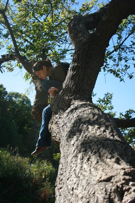 Nature People Photography, Sitting In A Tree Aesthetic, Person In Tree Reference, Sitting On A Tree Reference, Sitting On Tree Pose, People In Environments, Sitting In Tree Pose Reference, Hanging From Tree Pose Reference, Sitting In A Tree