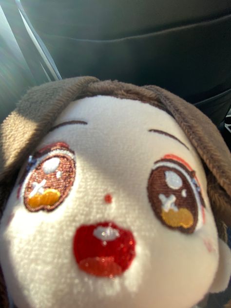 Xie Lien, Xie Lian Funny, Tgcf Pfp, Xie Lian Plushie Icon, Xie Lian Nendoroid, Hua Cheng Plush, Xie Lian Plushie, Xielian Plushie, Mxtx Plushies