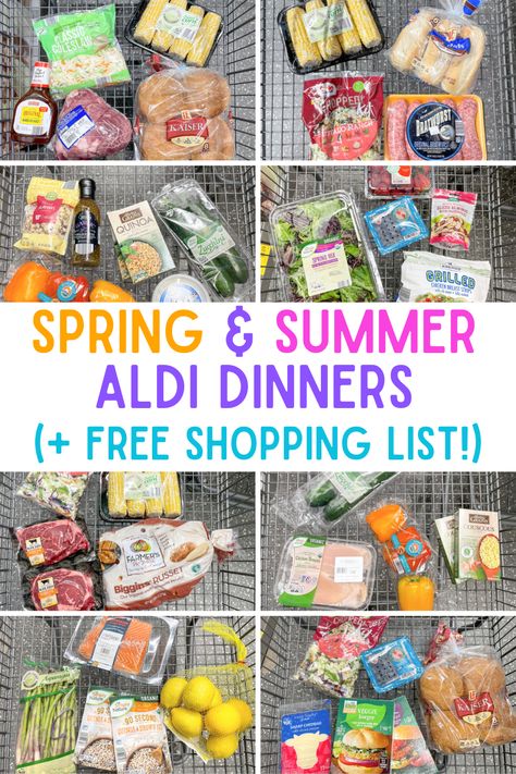 Dinner Ideas Spring, Aldi Dinners, Aldi Dinner Ideas, Frugal Meal Planning, Aldi Meal Plan, Aldi Recipes, Meal Planning Menus, Easy Summer Dinners, Monthly Meal Planning