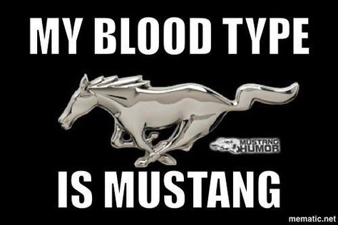 mustang pride Mustang Emblem, Cars Quotes, Mustang Girl, Mustang Sally, Car Wheels Diy, Ford Girl, Built Ford Tough, Ford Mustang Car, Car Wheels Rims