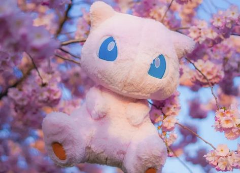 Plush Photography, Pokémon Plushies, Mew Plush, Pink Pokemon, Pokemon Stuffed Animals, Pokemon Plushies, Mew And Mewtwo, Pokemon Mew, Types Of Fairies