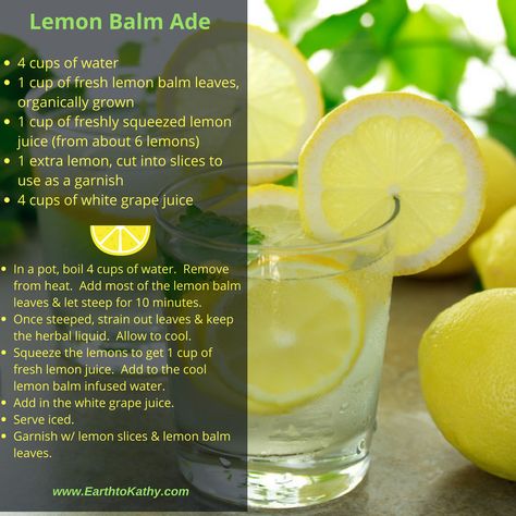 Lemon Balm Lemonade Recipe, Lemon Balm Water Recipe, Lemon Balm Lemonade, Lemon Ade Recipes, Lemon Balm Water, How To Make Lemon Balm, How To Make Lemon Balm Tea, Lemon Balm Drink Recipes, Lemon Balm Recipes Ozempic