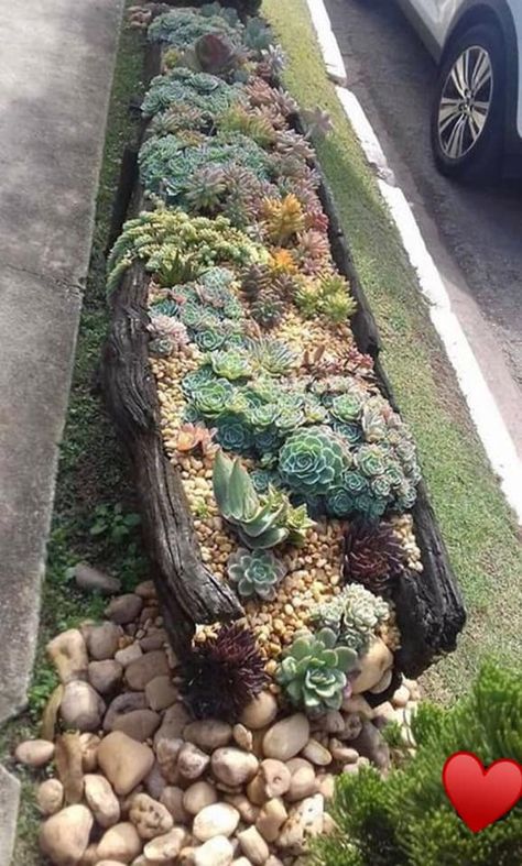 Succulent Garden Design, Succulent Landscaping, Succulent Garden Diy, Rock Garden Landscaping, Succulent Gardening, Have Inspiration, Garden Borders, Cactus Garden, Garden Care