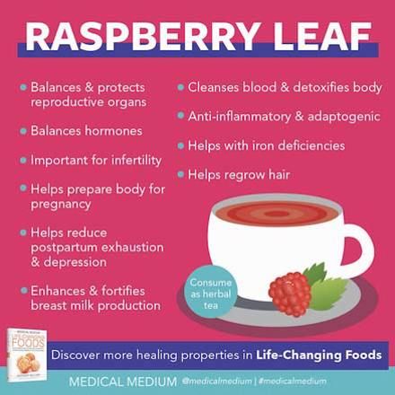 Medical Medium: Raspberry Leaf - Life-Changing Herb Rasberry Leaf Tea, Raspberry Leaf Tea Benefits, Medium Recipe, Pregnancy Help, Raspberry Leaf Tea, Help Hair Grow, Raspberry Leaf, Raspberry Tea, Loaded Sweet Potato