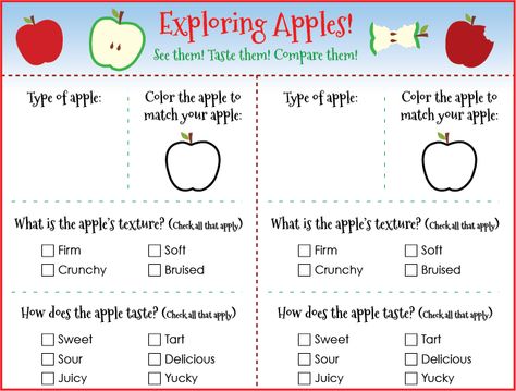 FREE---Using the Exploring Apples! printable, children will observe the color of and rate the flavor of each apple variety.  This lends itself well to an exercise in comparing and contrasting. There are two versions of the printable for use with younger and older kids. Apple Facts For Kids, Apple Taste Test Worksheet, Free Apple Printables, Apple Taste Test, Apples Printable, Apple Facts, Apple Activities, Apple Varieties, Taste Test