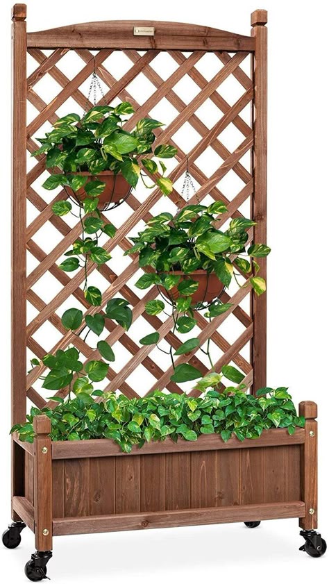 We used these terrific lattice planters to create a screen on the side of the patio that borders the driveway. They are super easy to assemble and look great! A pair of them were perfect for our project! Outdoor Raised Garden Beds, Wood Raised Garden Bed, Planter Box With Trellis, Planter Trellis, Trellis Ideas, Lattice Trellis, Trough Planters, Wooden Planter Boxes, Wood Planter