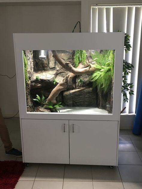 https://www.facebook.com/ScalesAndTailsCRE Reptile Terrarium Ideas, Bearded Dragon Vivarium, Vivarium Ideas, Dragon Terrarium, Snake Cages, Diy Reptile, Bearded Dragon Diy, Snake Terrarium, Bearded Dragon Terrarium