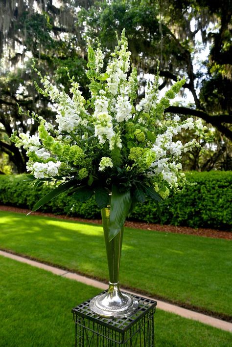 Tall belles of Ireland and greenery alter bouquet Tall Succulents, Tall Flower Arrangements, Bells Of Ireland, Succulent Centerpiece, Church Wedding Flowers, Tall Wedding Centerpieces, Altar Flowers, Large Flower Arrangements, New Flowers