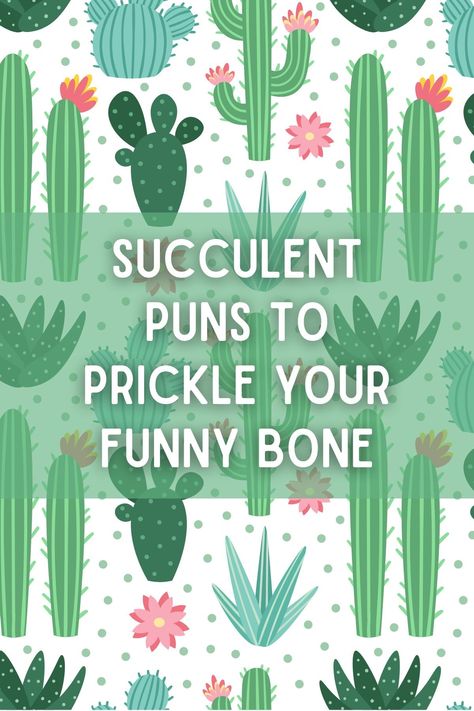 Succulents are not only beautiful plants known for their unique and interesting shapes, but they also make great subjects for puns. Whether you're a plant lover or just looking to add some humor to your day, these succulent puns are sure to make you smile. Succulent Puns For Teachers, Succulent Puns Funny, Aloe Puns Funny, Garden Puns Funny, Cute Plant Sayings, Succulent Sayings Funny, Succulent Quotes Funny, Succulent Sayings Cute, Plant Quotes Funny Humor