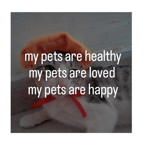 My Pets Are Healthy Affirmation, Healthy Cats Vision Board, Animals Vision Board, Healthy Pets Vision Board, Healthy Dogs Vision Board, Animal Vision Board, Pets Vision Board, Cats Vision Board, Dogs Vision Board