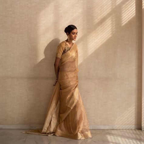 Saree Catalogue Shoot, Plain Gold Saree, Silk Tissue Saree, Saree Shoot, Formal Saree, Studio Photography Fashion, Bride Photography Poses, Fashion Artwork, Saree Poses