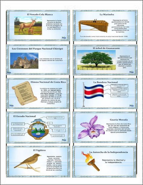 símbolos nacionales de Costa Rica Costa Rica Facts, Stand Feria, Shape Templates, Costa Rican, Hispanic Heritage Month, Hispanic Heritage, International Day, United Nations, Costa Rica