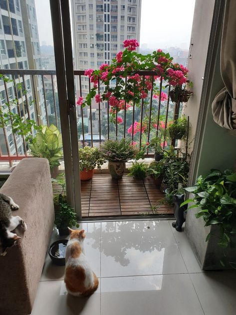 Cozy Balcony, Apartment Balcony Garden, Small Balcony Garden, Sunny Vibes, Fairy Home, Balcony Plants, Porch And Balcony, Apartment Balcony Decorating, Balcony Design