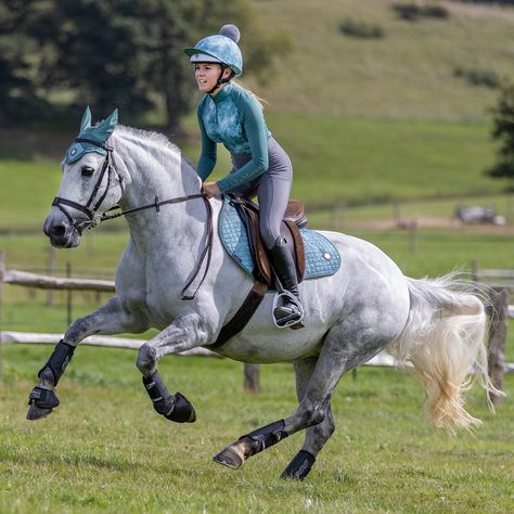 Lemieux Matchy Sets, Grey Horse Tack Colors, Lemuix Sets, Lemieux Set, Different Horse Breeds, Horse Coat Colors, Horse Riding Outfit, Show Jumping Horses, Horse Riding Clothes