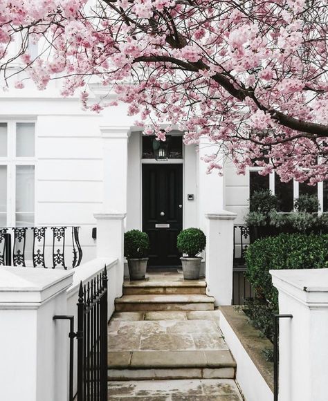 Julia Smith, Tree Blossom, London Living, Magnolia Trees, London House, Pink Trees, Victorian House, London Life, Ladies Of London