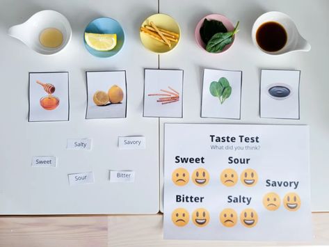 Five Senses – Sense of TASTE Tasting Activities Preschool, Taste Sense Activities, Taste Buds Activities, Taste Sense Activities For Preschool, Taste Activities For Toddlers, Sense Of Taste Activities Preschool, Sense Of Taste Worksheet, Sense Of Taste Activities, Nursery 2023